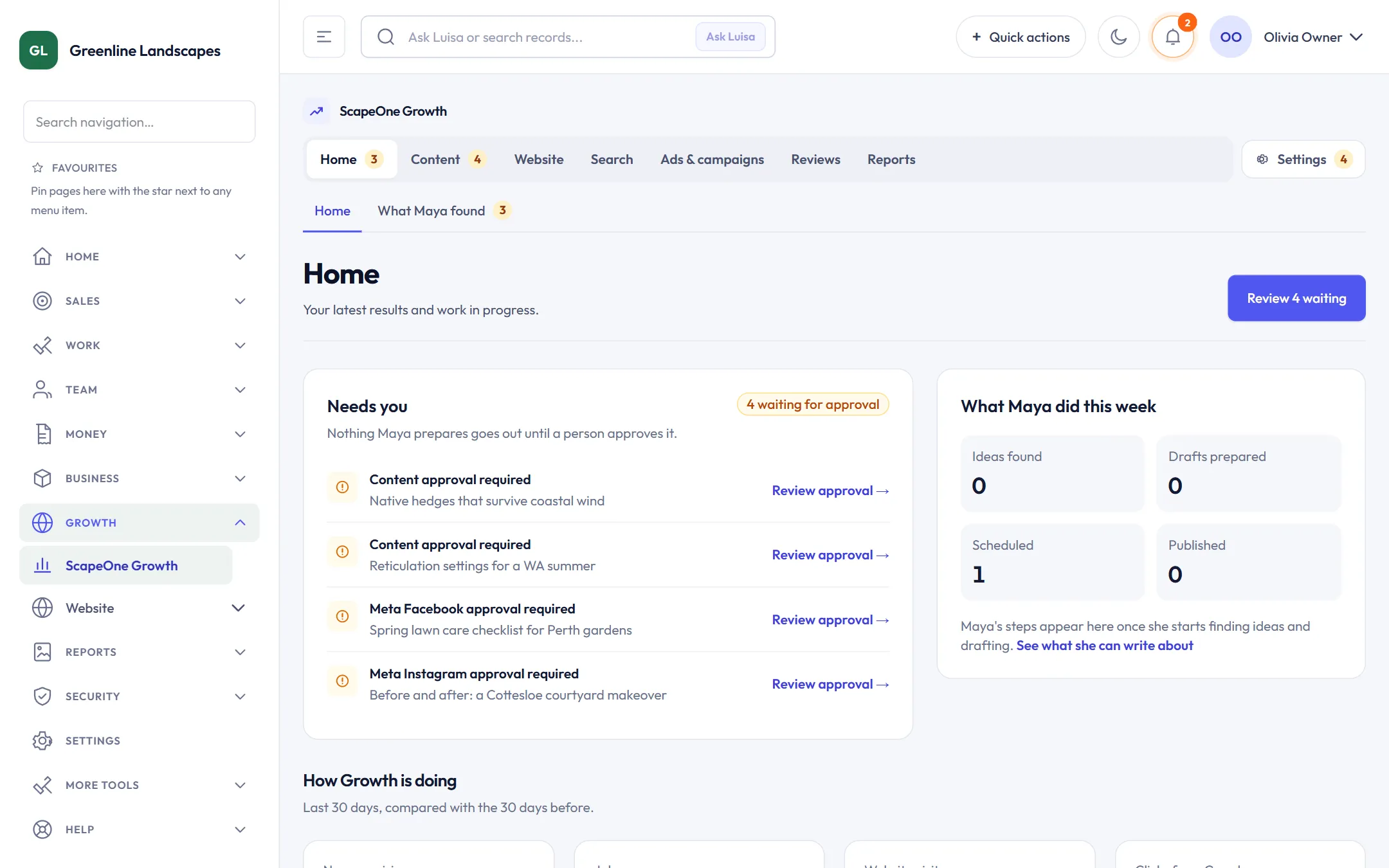 Growth hub where Maya has drafted social posts and articles waiting for approval